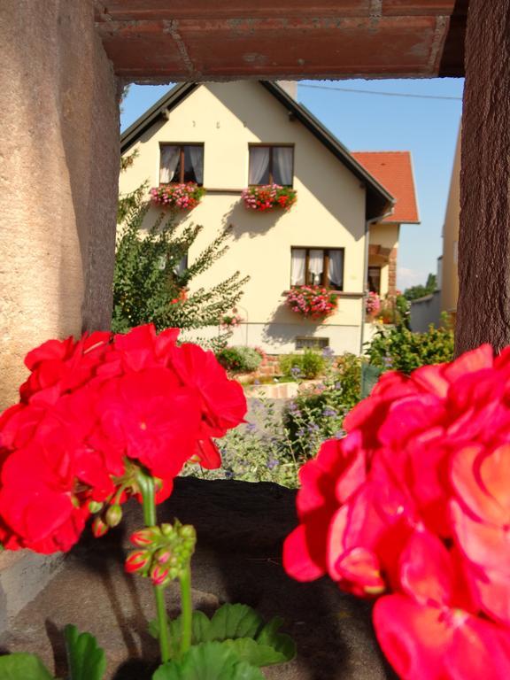 Chambre D'Hotes Du Zellberg Nothalten Exterior photo